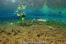 Mountain lake diving in the Alps by Michael Baukloh 